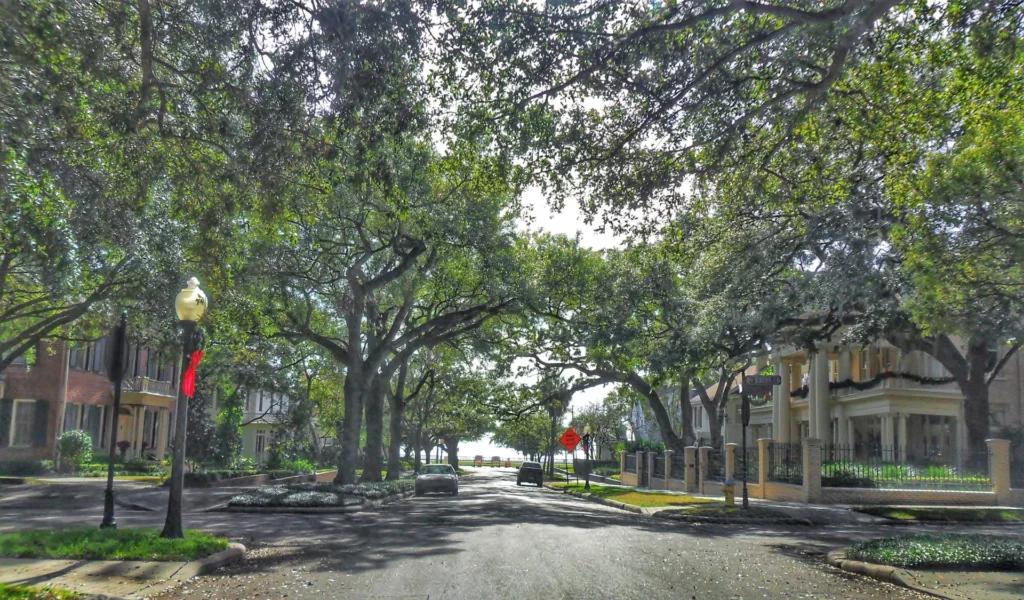 HCP Associates Presents Findings from the Hillsborough County Citizen Survey