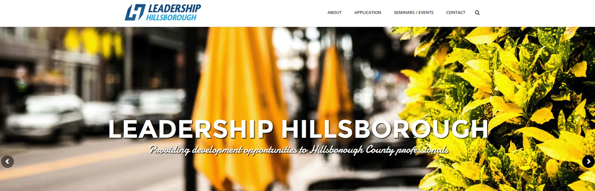 Leadership Hillsborough provides development opportunities to HIllsborough County Profressionals