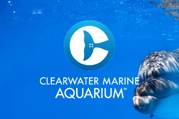 Clearwater Marine Aquarium