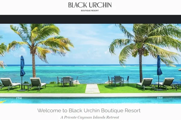 HCP_Black_Urchin