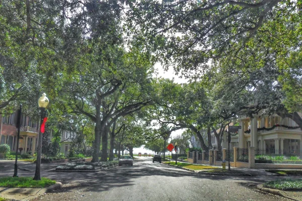 HCP Associates Presents Findings from the Hillsborough County Citizen Survey