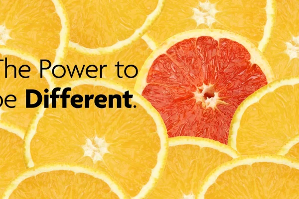 SUN-grapefruit-Digital-Ad-2022-1920x108-1