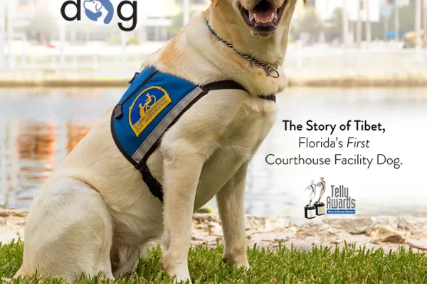 Tibet: A Dogumentary film poster featuring Tibet the courthouse facility dog